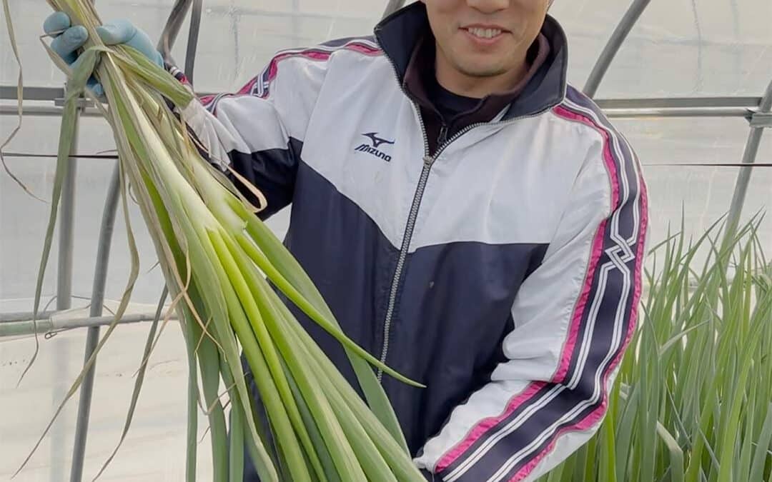 清水初男農園の軟白ねぎ。「ネギの概念が変わる」ほどの甘さとは