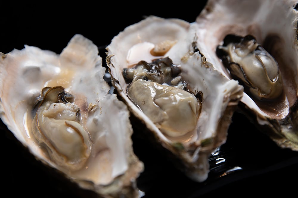 イワムラ水産 牡蠣が旬を迎えました